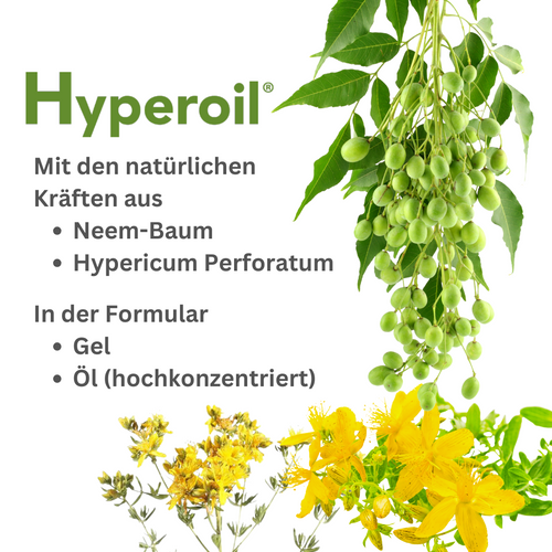Hyperoil Gel Öl Neem-Baum Hypericum Perforatum
